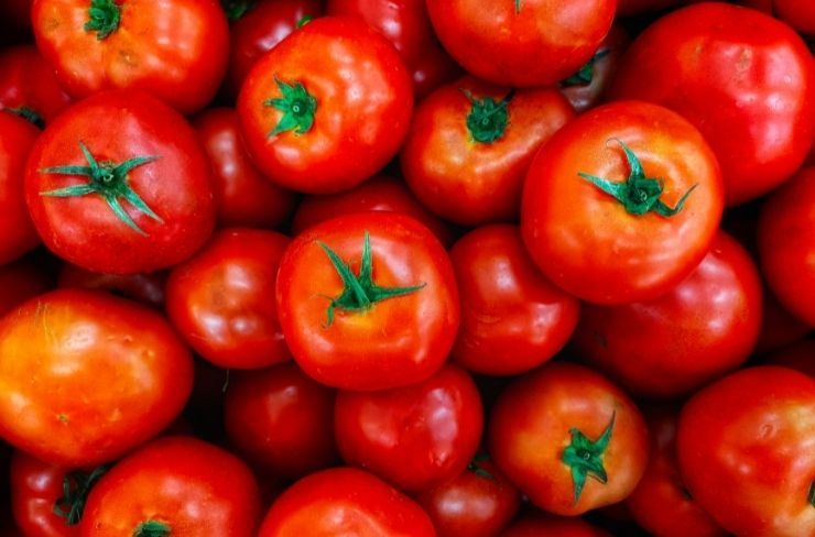 Tomaten eigenen sich nicht nur als Soße sehr gut.