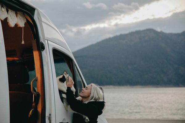 Vanlife mit Haustieren: Tipps für unterwegs mit deinem besten Freund